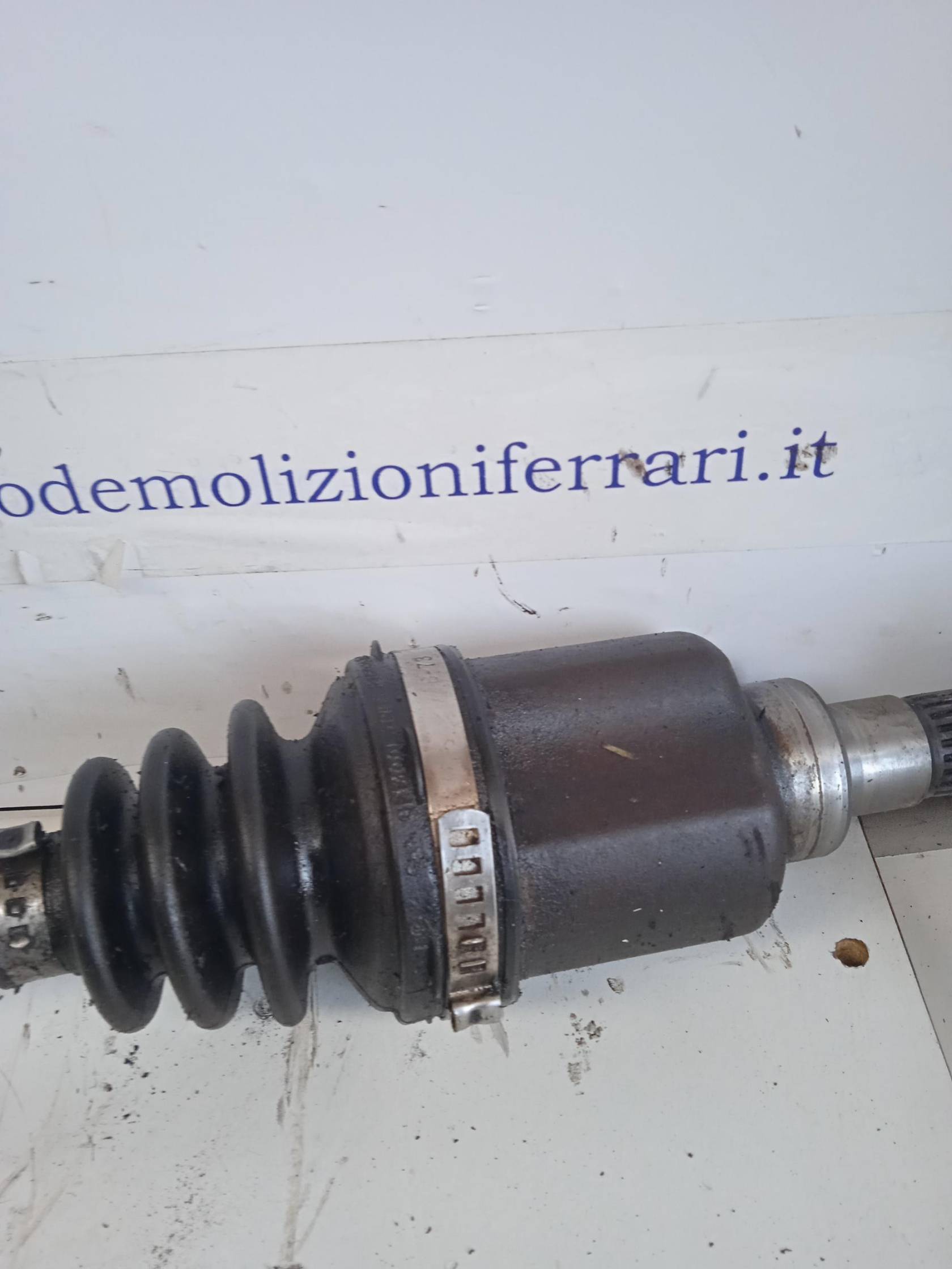 Semialbero ant. compl. dx.